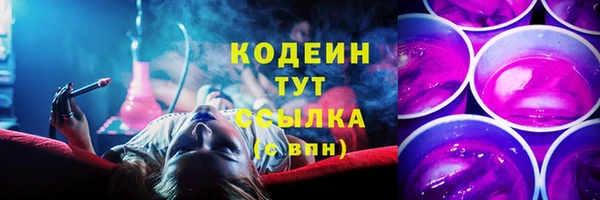 тгк Абаза