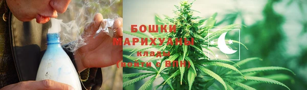 бошки Новодвинск