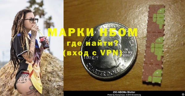 крисы Новокубанск