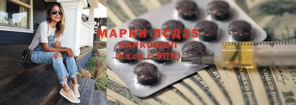 тгк Абаза