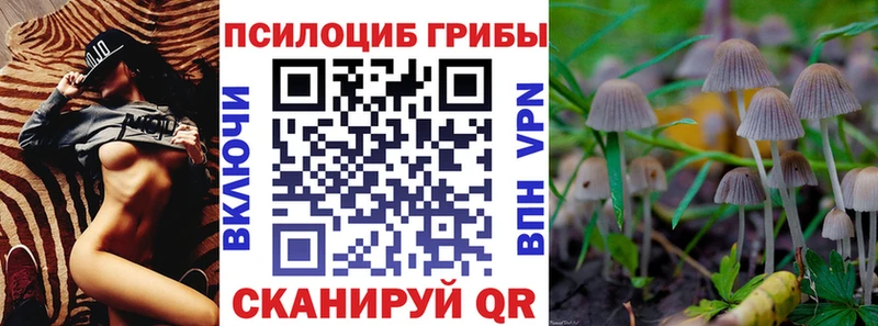 МЕГА ССЫЛКА  Пудож  Галлюциногенные грибы Psilocybe 